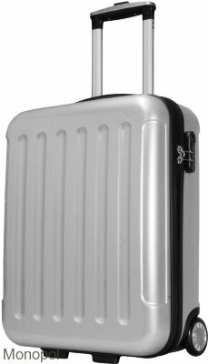 Чемодан Frankfurt серебряный Mini